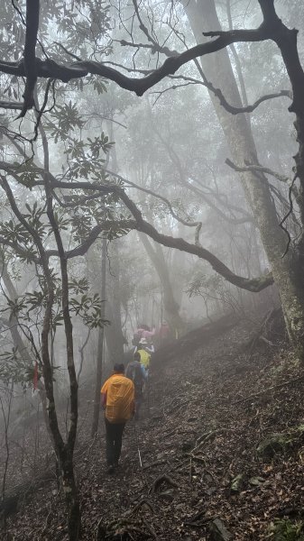 【這樣走波津加也行！】大雪山下波津加進谷關。3025912