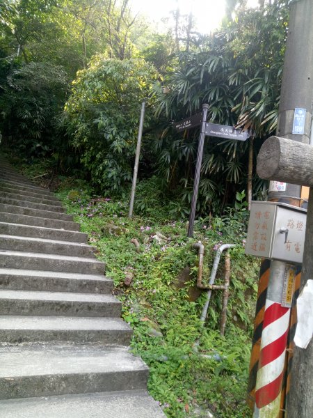 南勢角山縱走天上山1866387