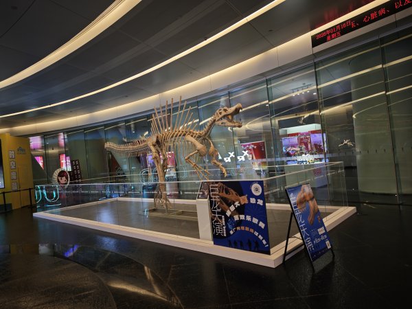 [茂名馬之行-05] 2026_0116 廣州塔夜景2994104