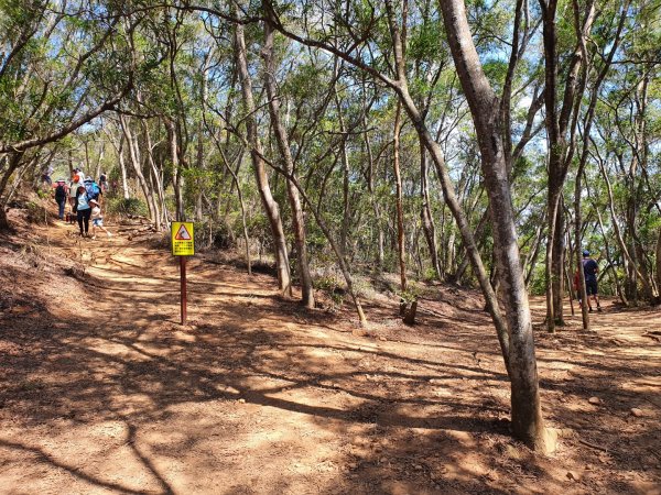 火炎山（小百岳）1116368