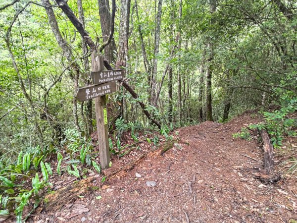 志佳陽大山登山步道2520082