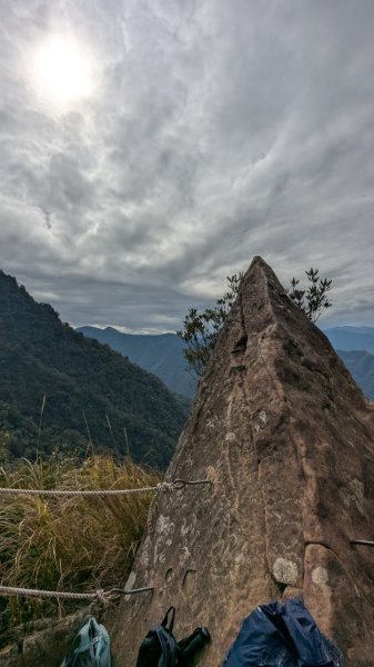 北得拉曼巨木步道2695505