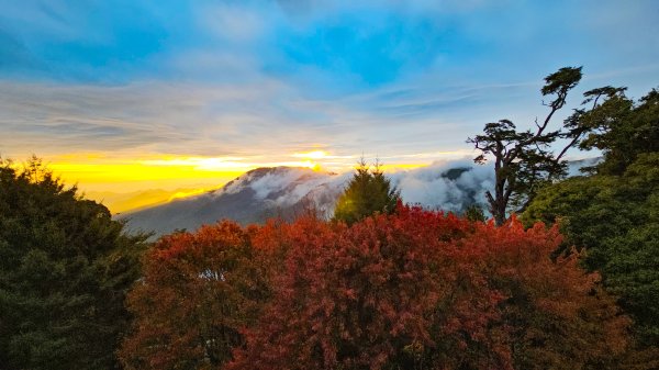 20251213波津加大雪山3031767