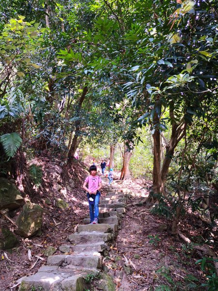 108.03.02 內湖剪刀石551500