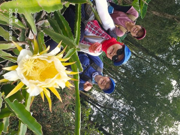 20250921平溪石筍尖連走赫山(三坑山)O型走2894471