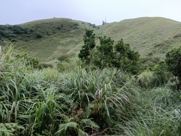 瑞芳區找尋半屏大瀑布未果2880965