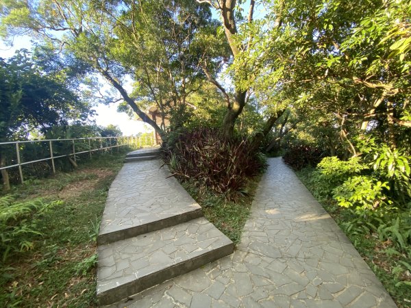 【四獸山 Short】虎豹象先行！獅山封閉中，等新步道開箱再相見2888859