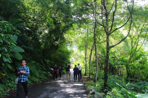 烏來內洞森林遊樂區 20181021444473