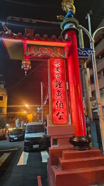 20250209橫沙笛鳶嘴醜肥大西稜O型2709367