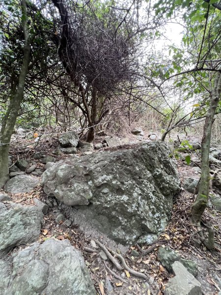 小百岳-大山母山2752560