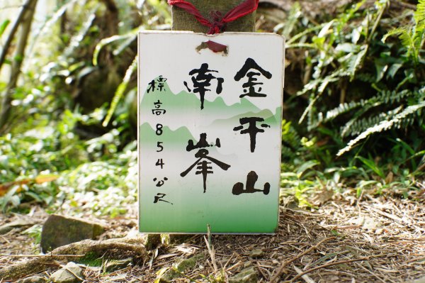 桃園 復興 牌子山、金平山2952207