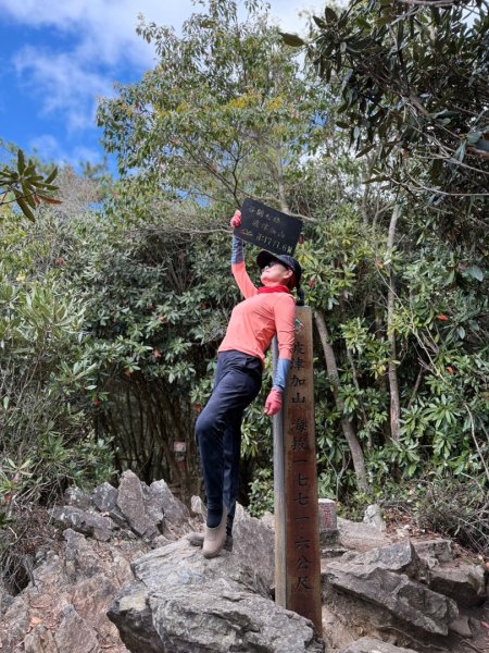 【谷關七雄】波津加(H1771.6m)肉腳配速成功2670580