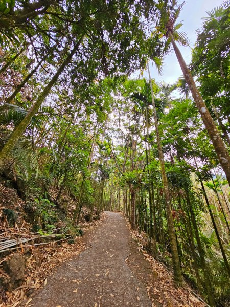 小百岳集起來-關仔嶺大凍山2185130