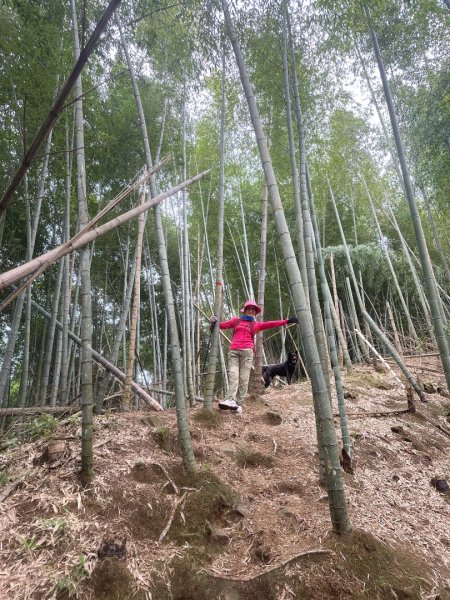 溪頭山、竹崙山、志騰山、妖怪村2877879