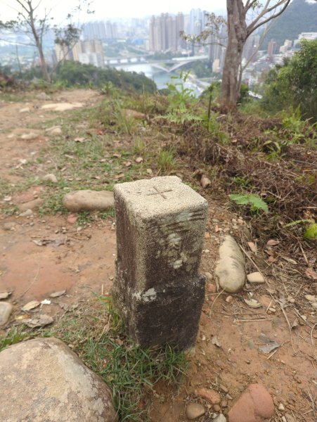 2025.12.14－微笑山線：【二格山系】和美山螢火蟲段2966253