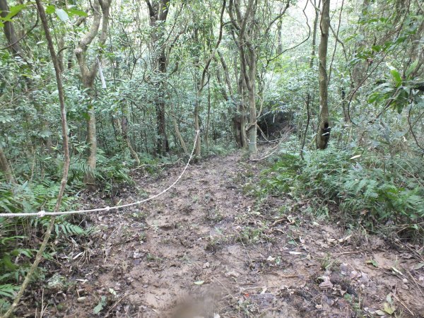 百二階古道+苕谷瀑布+逸仙山+泰和樓2734484