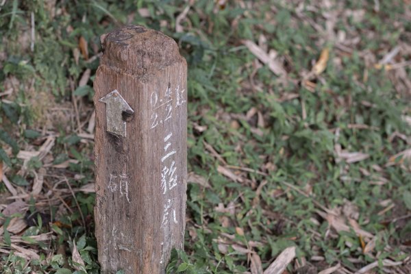 周朝南館長兒時上學路｜烏塗窟古道＆一通坑巡禮2554405