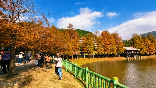 #花卉試驗中心 #永公路500巷 #平菁街42巷 #原住民公園 #士林官邸 1/42980344