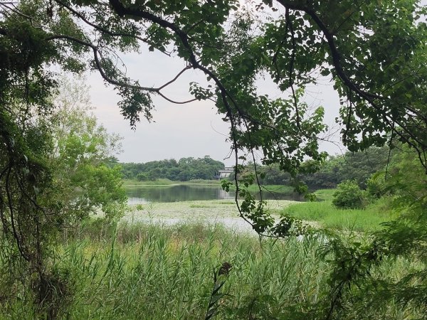 山海圳【內海之路：第二段】臺灣歷史博3090740