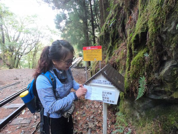 2023尋訪消失的眠月線聚焦失落沉寂的百年鐵道之旅2109671