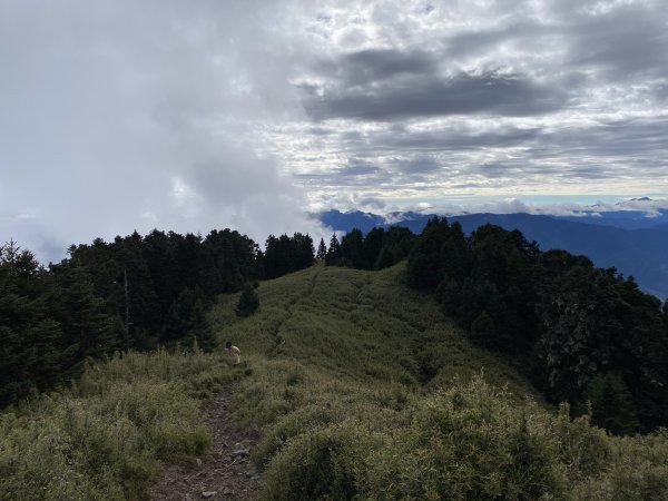 【單攻聖品】志佳陽大山下馬武霸山Ｏ型連走1145815