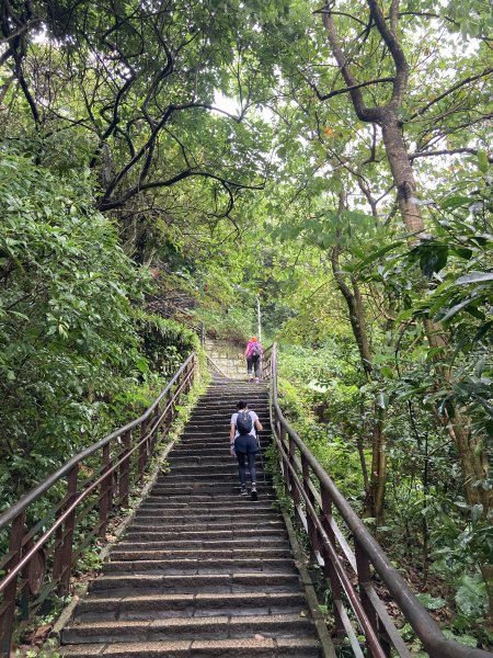 南港山+四獸山2519915