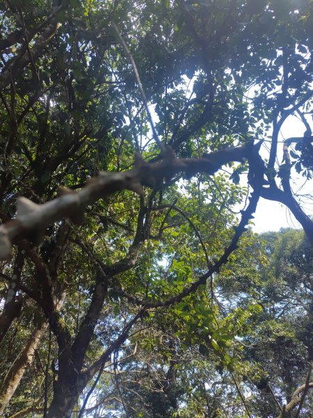 大竹溪山連走鞍輪名山3006888