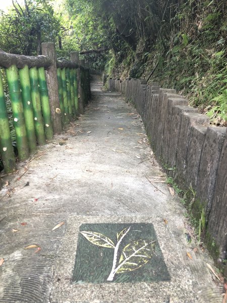【台北大縱走7】指南宮-貓空-樟樹步道1046337