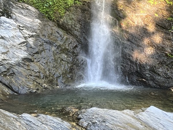 [玉山尋寶任務-03/12] 2025_0810 瓦拉米步道2857423