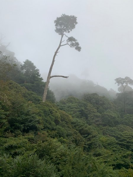 四天三夜的能高越嶺道+南華山719016