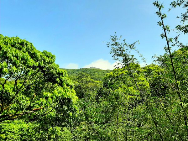 走遍陽明山：人車分道系統｜環七星山人車分道2093240