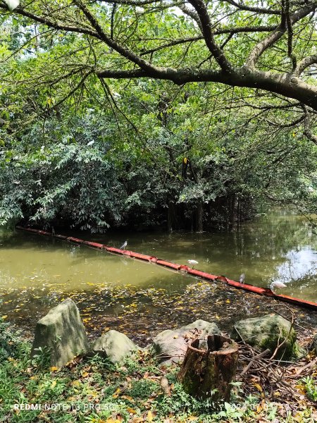 大安森林公園【走路趣尋寶】【臺北健走趣】2541542