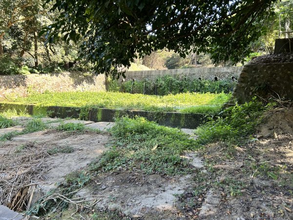 松柏嶺登廟步道2957395