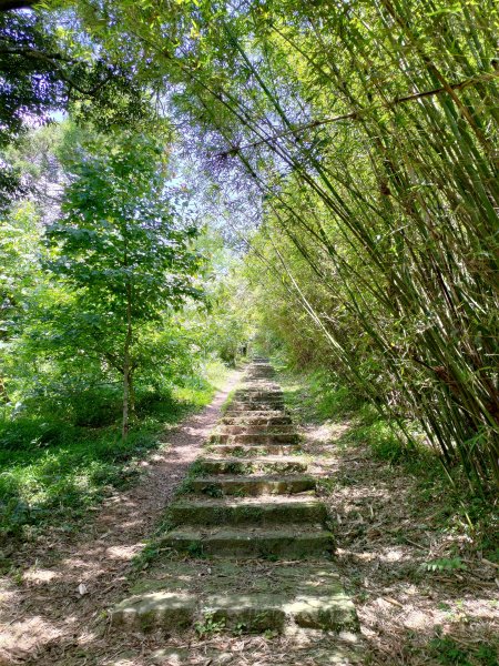 中正山步道-竹子湖來回1361657