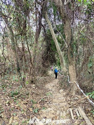【屏東來義】小百岳棚集山x棚集下山O 繞3013097