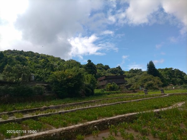 臺北大縱走第二段：二子坪至小油坑2840548