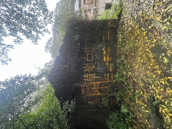 2024草嶺古道芒花季草嶺古道2644781