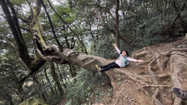 20250101內鳥嘴山北得拉曼步道2681575