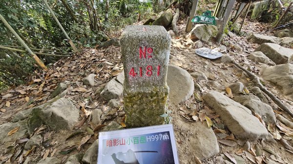 暗影山三進三出2366542