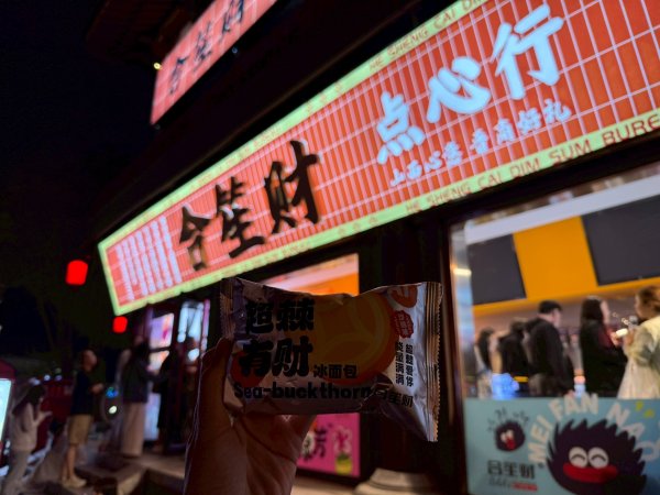 山西大同古城2842002