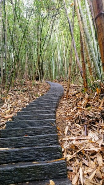 雅吾瑪斯步道826698