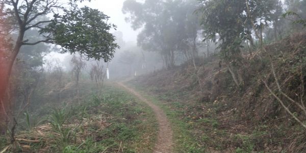 力里山登山步道272889