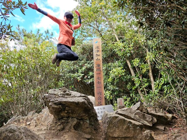 【谷關七雄】波津加(H1771.6m)肉腳配速成功2670486