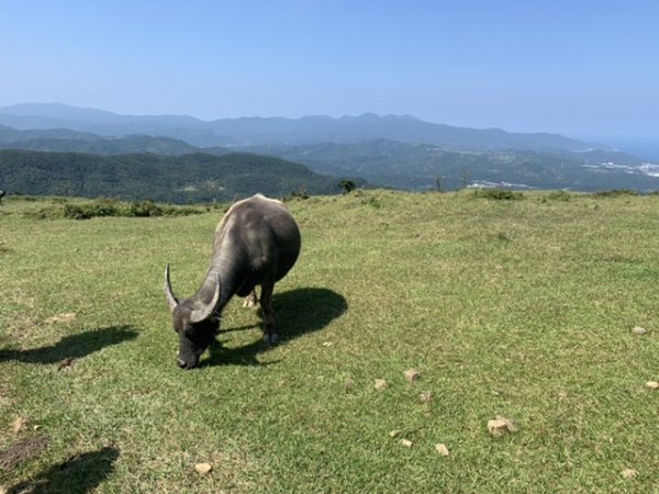 草嶺古道、桃源谷、石觀音698185