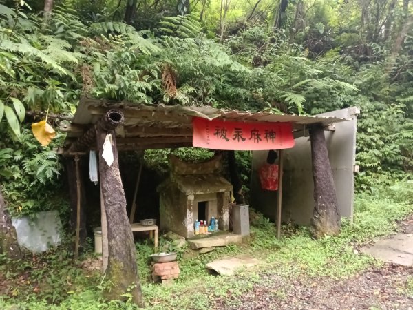 雙溪區中坑古道西線+中坑西山+內盤山土地公廟+中坑古道P字走2895309