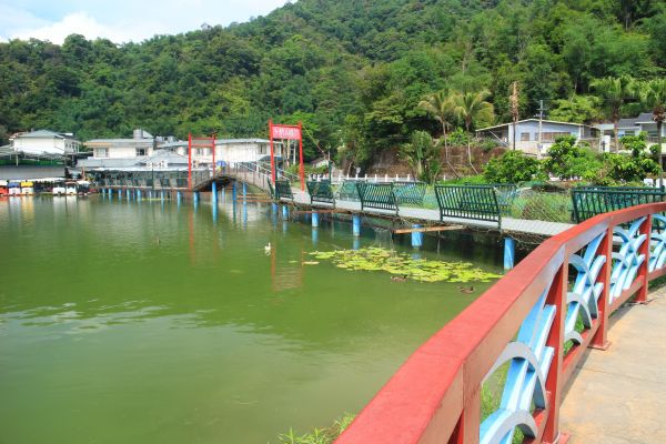 南投埔里鯉魚環潭步道 20180617369205