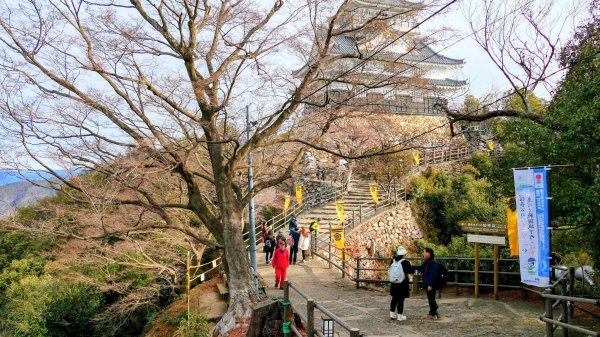 織田信長的天下夢2980806