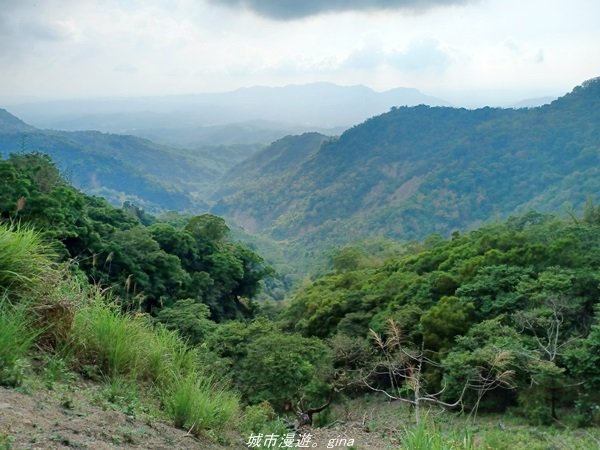 【高雄甲仙】沒有朵朵白雲。 小百岳集起來。 編號69小百岳-白雲山步道1713231