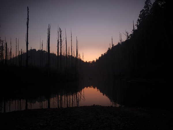 眠月下線之豐杉阿O型