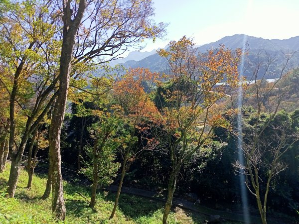 桃園大溪石門水庫楓林步道、齋明寺古道【南山神壽任務】1963946